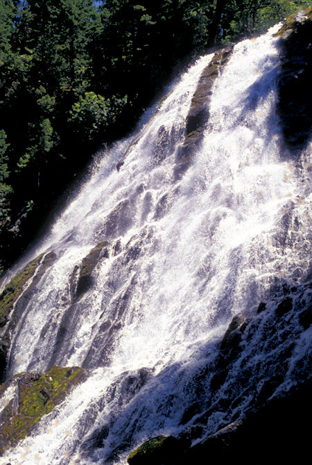 Diamond Creek Falls near Salt Creek Falls, second highest in Oregon 500+ feet, highway 58, Oregon
