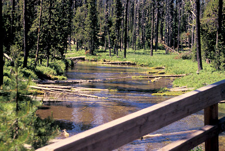 Silent Creek and bridge on bike path, Diamond Lake Recreation Area, Oregon