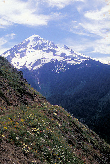 Mt. Hood from Pacific Crest Trail near Bald Mountain near Lolo Pass, Mt. Hood Wilderness, Oregon