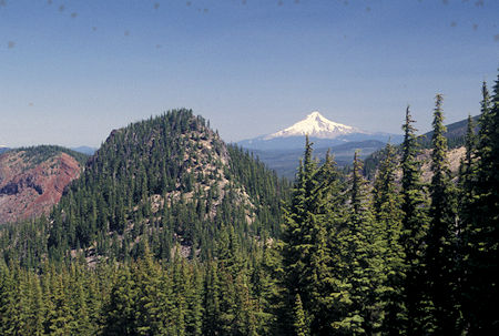 Mt. Hood from Jefferson Park trail (PCT),  Mt. Jefferson Wilderness, Oregon