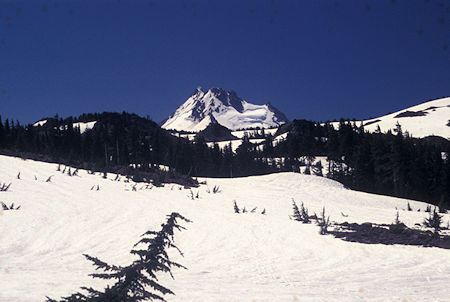 Mt. Jefferson from Jefferson Park trail (PCT),  Mt. Jefferson Wilderness, Oregon