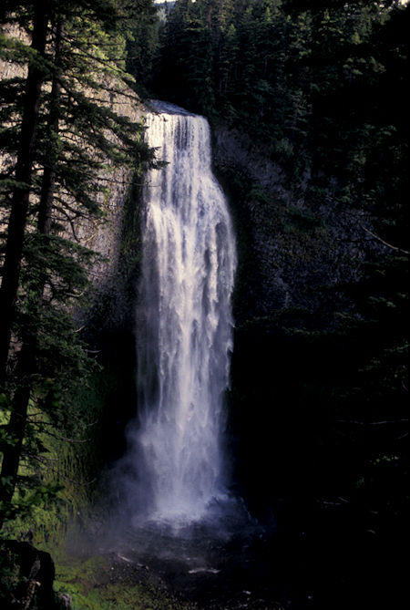 Salt Creek Falls, 2nd highest in Oregon at 500+feet