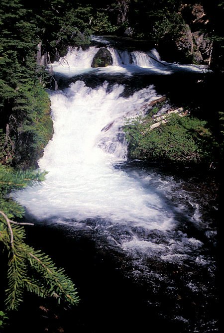 Cascade on Falls Creek, Green Lake trail off Cascade Lakes Highway, Three Sisters Wilderness