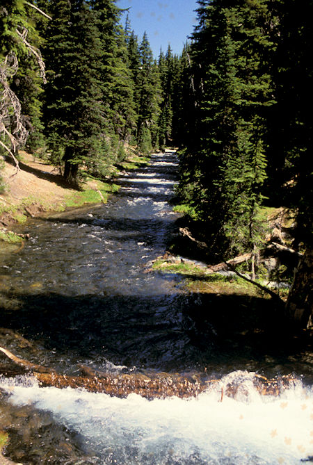 Falls Creek along Green Lake trail, Three Sisters Wilderness
