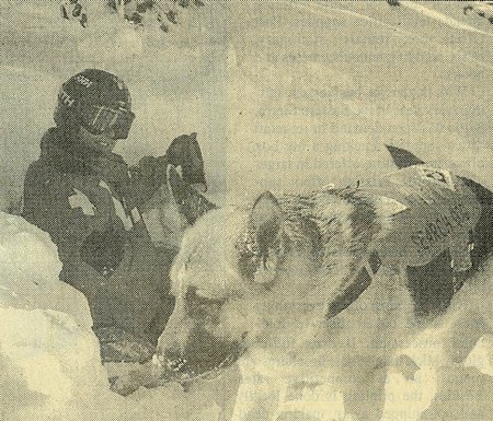 'Victim' Julia White is rescued by search dog Trapper