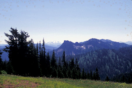 View south from Pacific Crest Trail, Cady Ridge area, William M. Jackson Wilderness, Washington