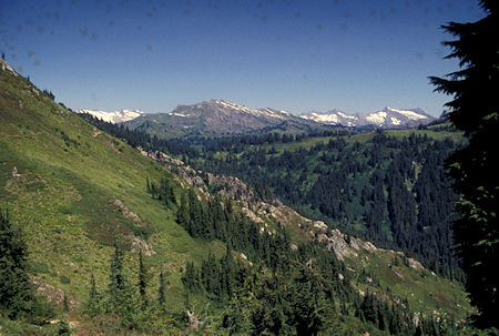 View north from Pacific Crest Trail, Cady Ridge area, William M. Jackson Wilderness, Washington