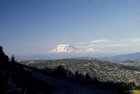 Mt. Ranier from Elk Rock road, near Coldwater Visitor Center, Mount St. Helens National Volcanic Monument, Washington