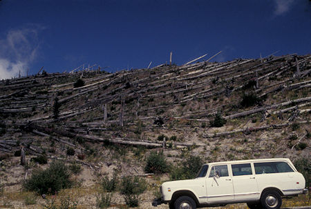 Devastated trees on Windy Ridge road and my 'Tank', Mount St. Helens National Volcanic Monument, Washington