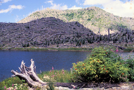 Meta Lake on Windy Ridge road, Mount St. Helens National Volcanic Monument, Washington