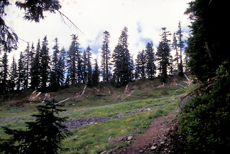 On Scott Paul Trail, Mt. Baker National Recreation Area, Washington