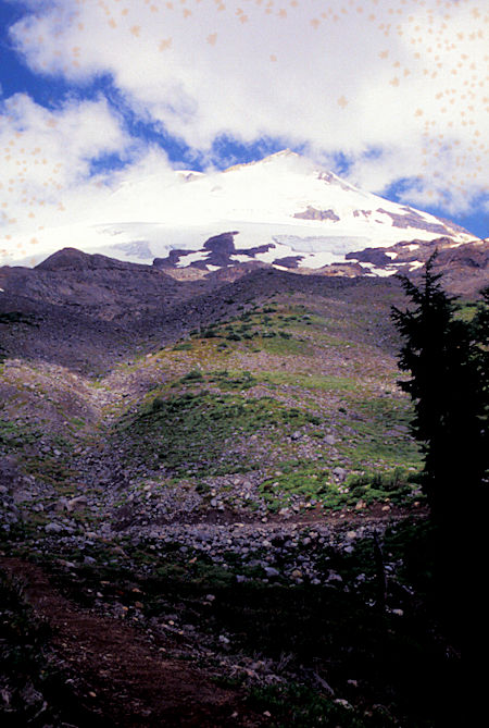 Mt. Baker and clouds from Scott Paul Trail,  Mt. Baker National Recreation Area, Washington
