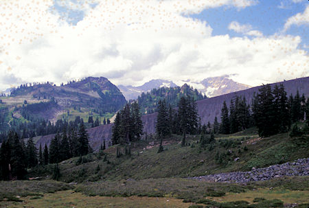 Looking southwest from Scott Paul Trail,  Mt. Baker National Recreation Area, Washington