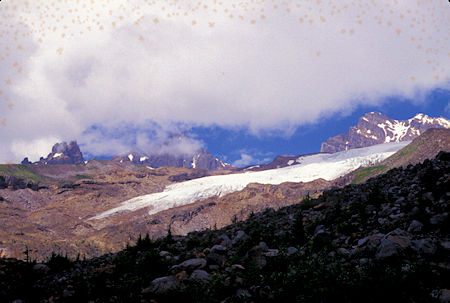 Mt. Baker and glacier from Scott Paul Trail,  Mt. Baker National Recreation Area, Washington
