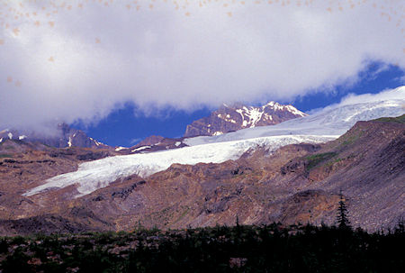Mt. Baker and glacier from Scott Paul Trail,  Mt. Baker National Recreation Area, Washington