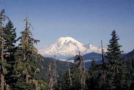 Mt. Rainier from Hwy 12