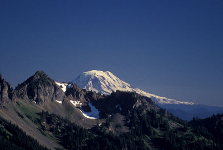 Mt. Adams from Sunrise Point, Mt. Rainier National Park, Washington