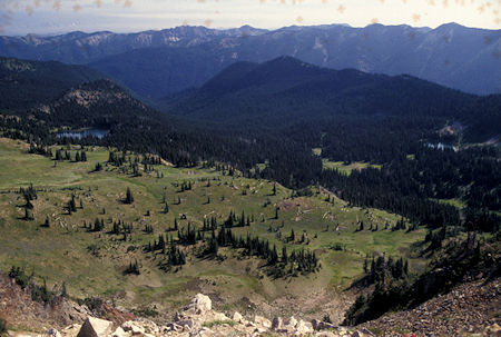 Northeast from trail below Dege Peak, near Sunrise Visitor Center, Mt. Rainier National Park