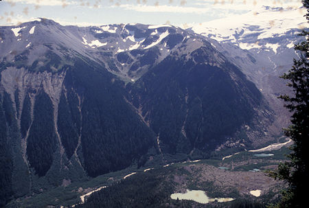 View from Burroughs Mountain trail near Sunrise Visitor Center, Mt. Rainier National Park