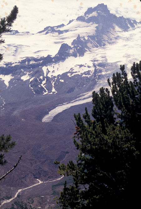 Mt. Rainier from Burroughs Mountain trail near Sunrise Visitor Center, Mt. Rainier National Park