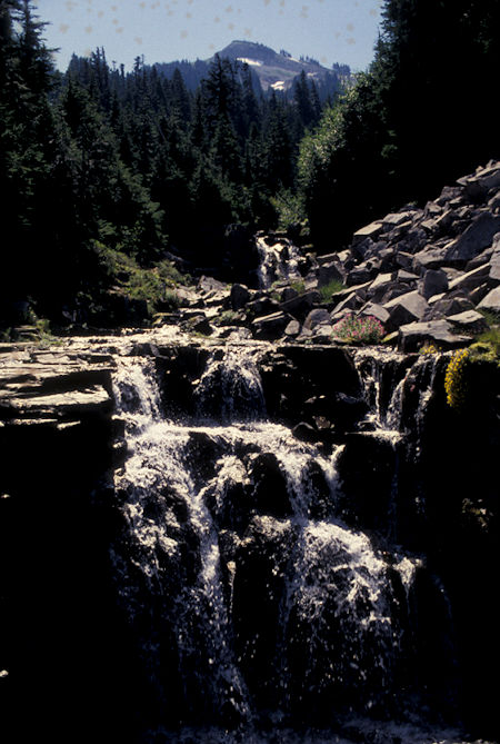 Sunbeam Creek near Louise Lake near Paradise, Mt. Rainier National Park