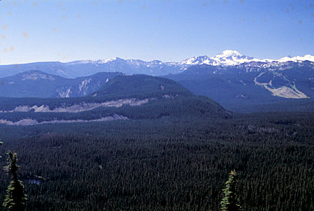 Mt. Adams from Tumac Mountain, William O. Douglas Wilderness, Washington