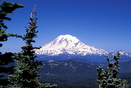 Mt. Rainier from Tumac Mountain, William O. Douglas Wilderness, Washington