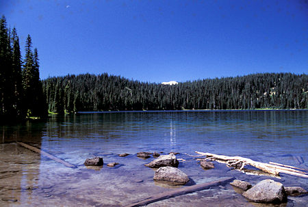 Larger Twin Sister Lake with Mt. Rainier in trees (moon upper left), William O. Douglas Wilderness, Washington