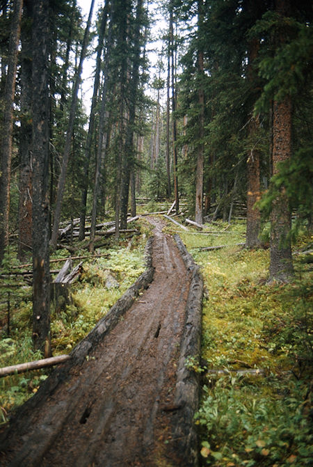 The trail to Three Forks Park - Wind River Range 1977