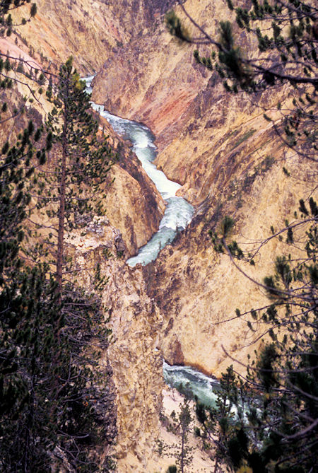 Grand Canyon of the Yellowstone from Grandview Point