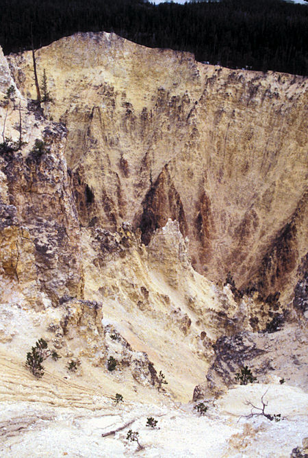View of canyon walls from Grandview Point