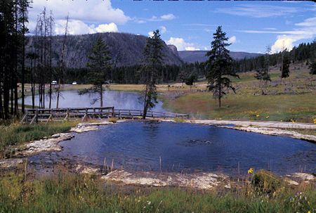 Hot Spring along Madison River in Yellowstone National Park