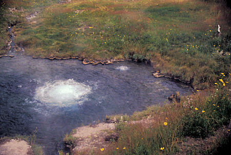 Hot Spring along Madison River in Yellowstone National Park
