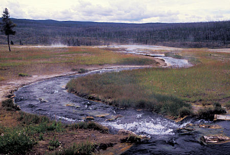 Gibbon River in Yellowstone National Park