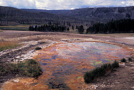 Hot Springs along the Gibbon River in Yellowstone National Park