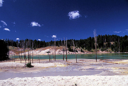Sour Lake, Mud Volcano area, Yellowstone National Park