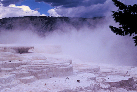 Main Terrace, Mammoth Hot Springs, Yellowstone National Park