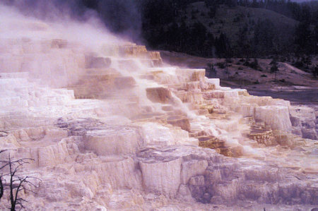 Minerva Terrace, Mammoth Hot Springs, Yellowstone National Park